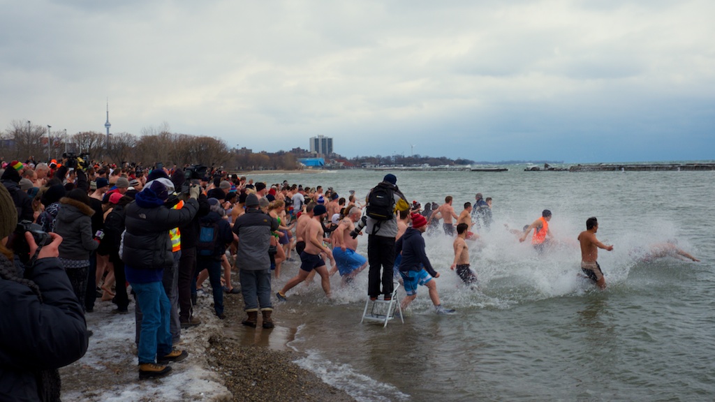 I did the 2015 Toronto Polar bear dip, and lived to tell this tale